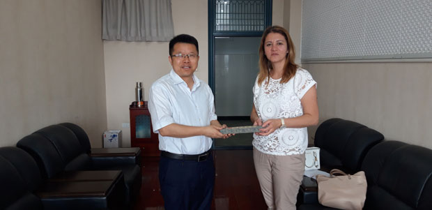 И у Србији се може бити врхунски математичар. У иностранству јесу бољи услови, али овде ми је најлепше: Професорка из Ниша постала  члан Борда светског удружења ИЛАС